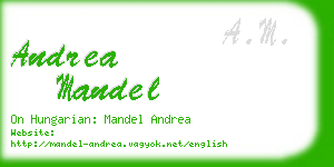 andrea mandel business card